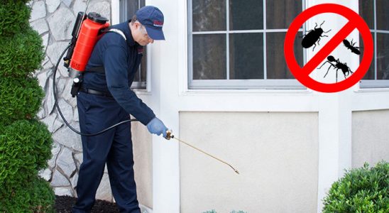 Kaynarca Fare İlaçlama böcek ilaçlama ve haşere kontrolü — ilaclama-tr.com